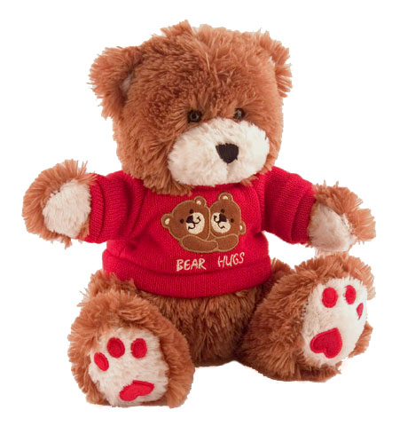 my favourite toy is teddy bear
